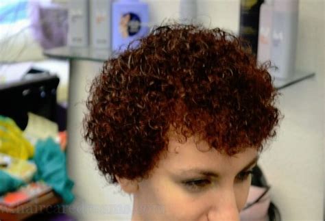 my perm looks like a poodle|poodle perm pinterest.